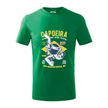 Capoeira  Afro-brazil art Capoeira  Afro-brazil art