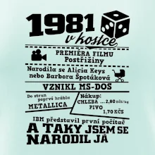 1981 v kostce