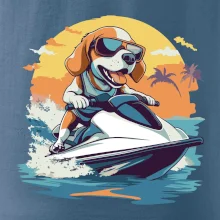 Bígl na vodním skútru