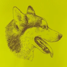 Husky - hlava z boku