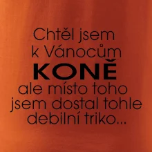 Chtěl jsem dostat k Vánocům koně