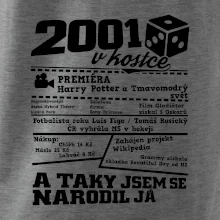 2001 v kostce