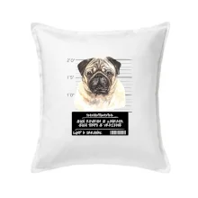 Lump a darebák mopsík