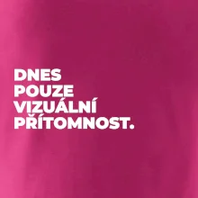 DNES POUZE VIZUÁLNÍ PŘÍTOMNOST.