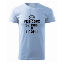 Princové se rodí v lednu