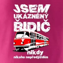 Jsem ukázněný řidič - tramvaj