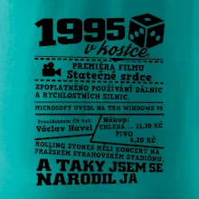 1995 v kostce