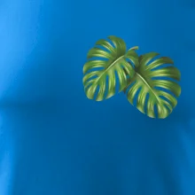 Monstera listy na prsu