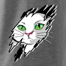 Kočka v roztrženém triku