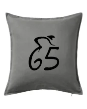 Cyklista slaví pětašedesátku (65)