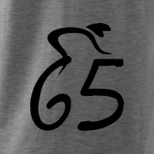 Cyklista slaví pětašedesátku (65)