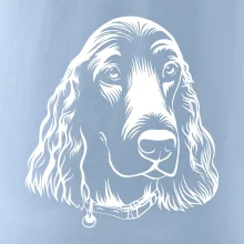 Kokršpaněl - hlava kreslená