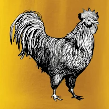 Kohout kreslený černobílý