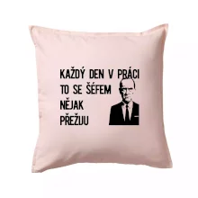 Každý den v práci to se šéfem nějak přežiju