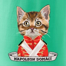 Napoleon domácí kočka