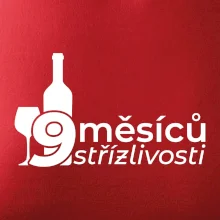 9 měsíců střízlivosti