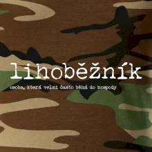 Čeština 2.0 - Lihoběžník