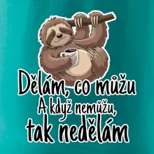 Dělám, co můžu. A když nemůžu, tak nedělám.