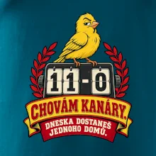 Chovám kanáry - Dneska dostaneš jednoho domů.