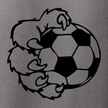 Medvědí tlapa fotbal