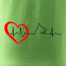 Německý ovčák ekg