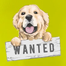 Zlatý retriever - štěně wanted