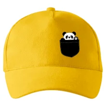 Panda v kapse