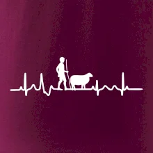 Ekg pastevec ovcí