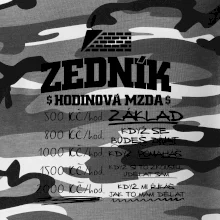 Hodinová mzda zedník