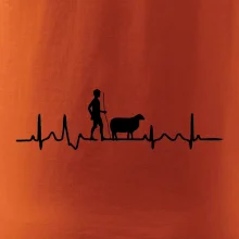 Ekg pastevec ovcí