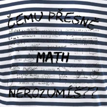 Čemu přesně nerozumíš? Matematika Čemu přesně nerozumíš? Matematika