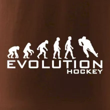 Evoluce Hockey - hráč