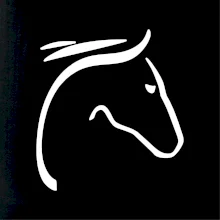 Kůň - hlava silueta