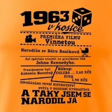 1963 v kostce