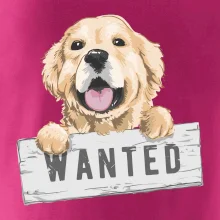 Zlatý retriever - štěně wanted