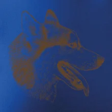 Husky - hlava z boku