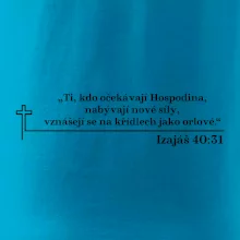Citáty z bible - Izajáš 40:31