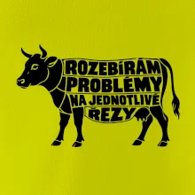 Rozebírám problémy na jednotlivé řezy