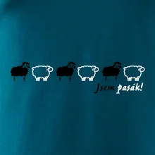 Jsem pasák - ovce v řadě