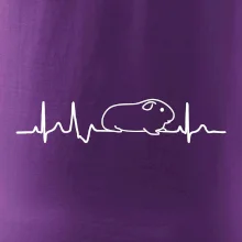 EKG morče EKG morče