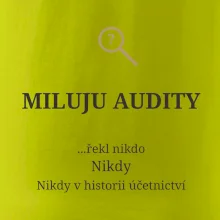 Miluju audity řekl nikdo nikdy