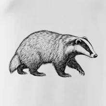 Zvířata Krkonoš – jezevec lesní