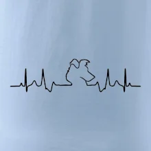 Border kolie EKG