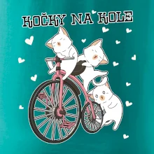 Kočky na kole