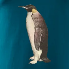 Tučňák kreslený vodovými barvami