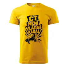 ČT není vládní kánál