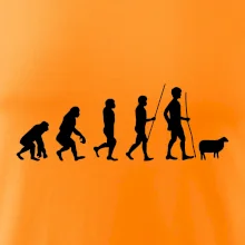 Evoluce pastevec ovcí