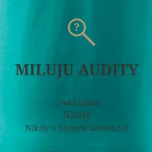 Miluju audity řekl nikdo nikdy