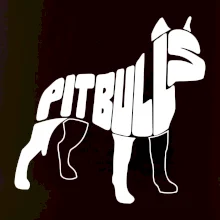 Pit Bull Teriér