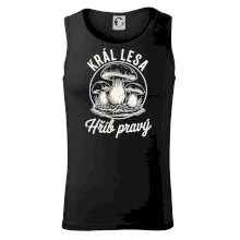 Král lesa hřib pravý